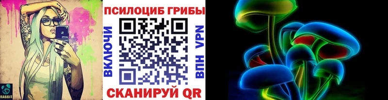 Псилоцибиновые грибы MAGIC MUSHROOMS  гидра рабочий сайт  Алейск 