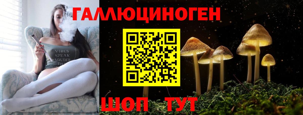 Псилоцибиновые грибы Cubensis  Алейск  Галлюциногенные грибы ЛСД 