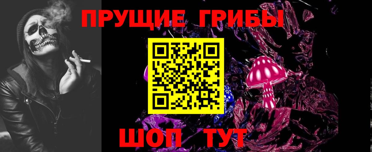 Алейск  Псилоцибиновые грибы Psilocybe  Вход с VPN 